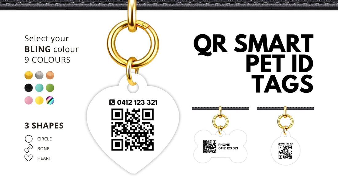 Classic vs QR Smart Pet ID Tags: Which Is Right for Your Dog?
