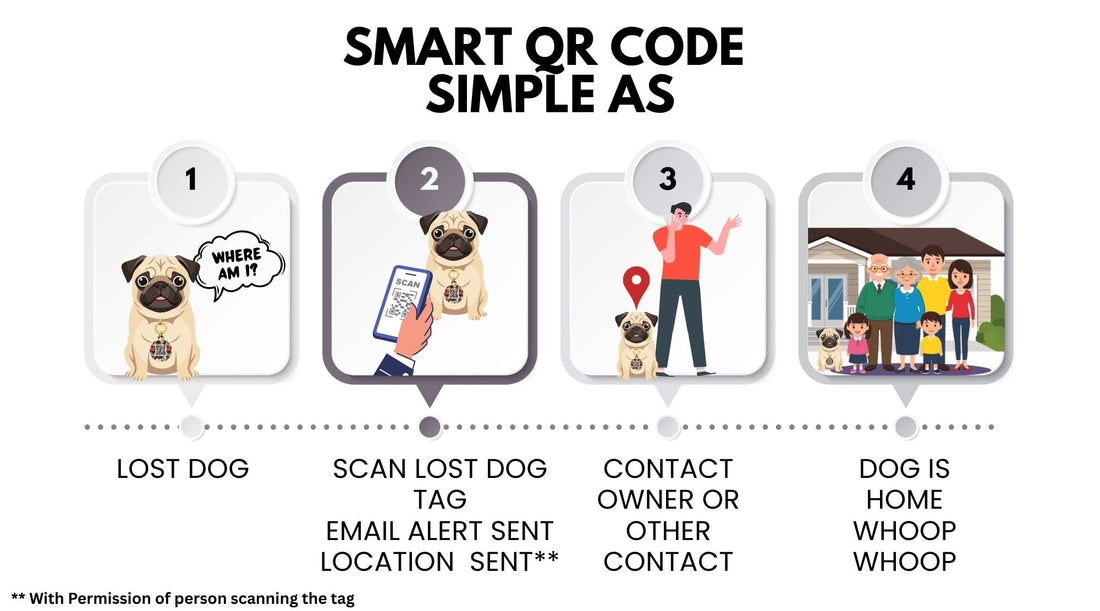 How QR Smart Tags Help Reunite Lost Dogs Faster