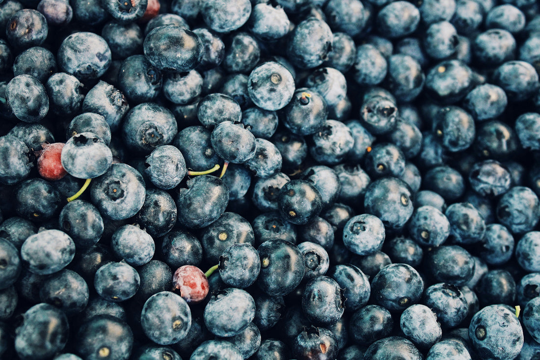 Duck & Blueberry Sensitive Skin Supper