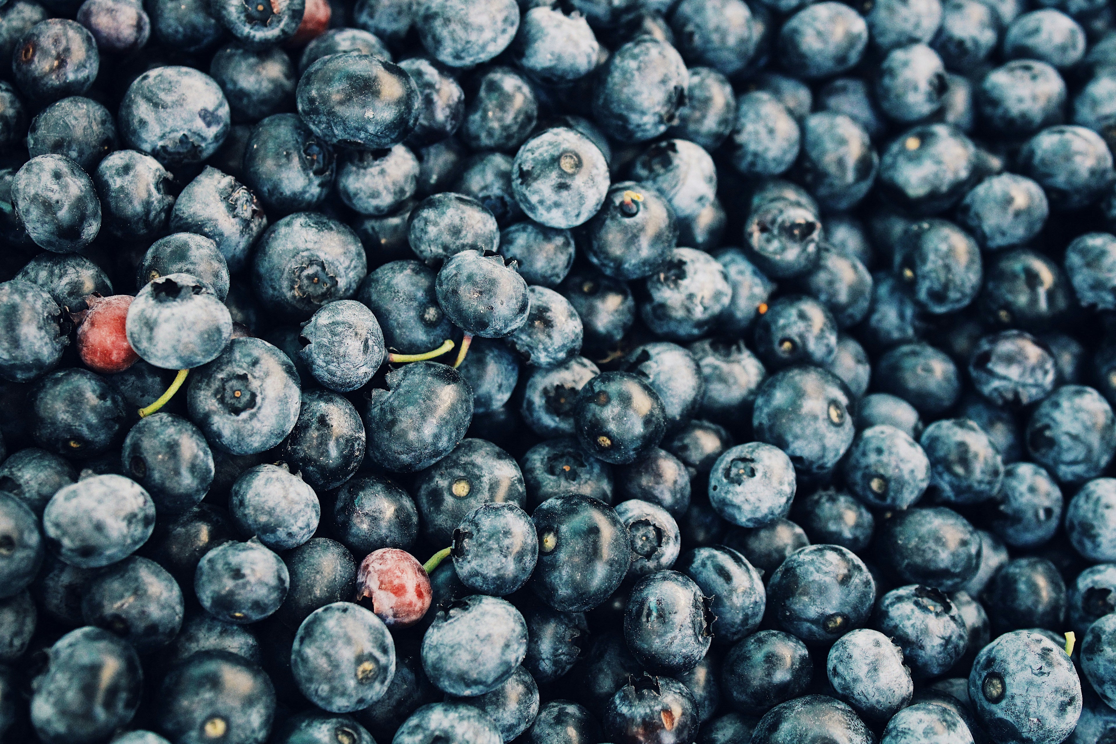 Blueberry & Coconut Brain-Boosting Softies