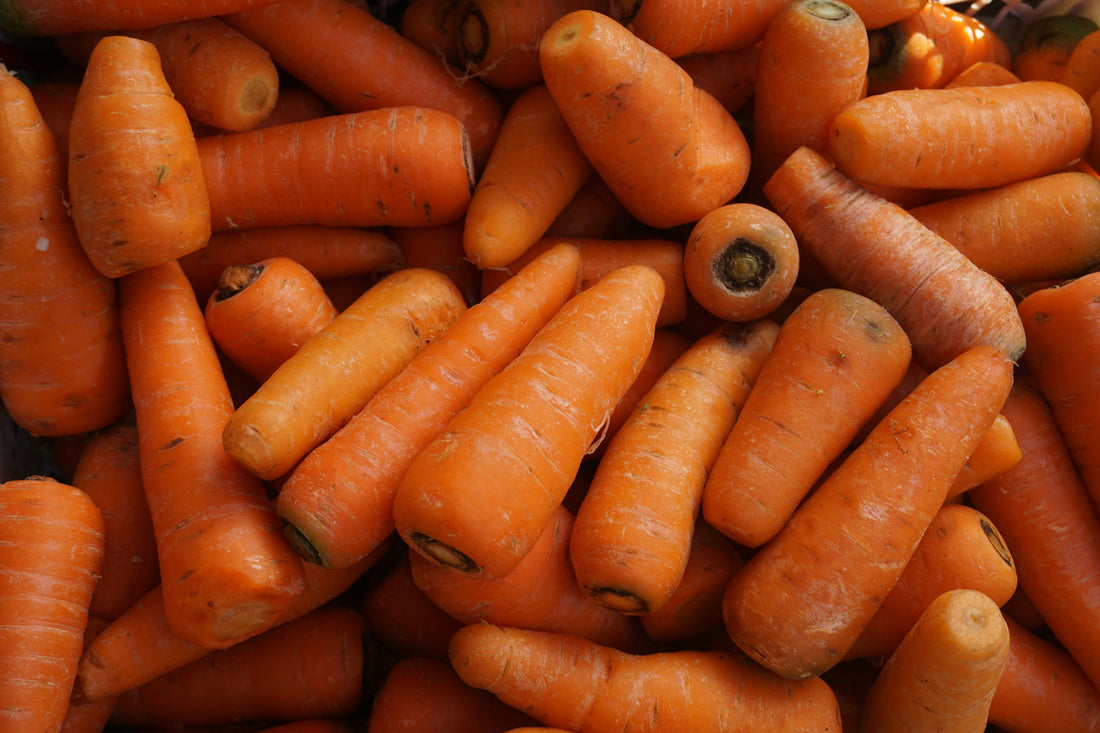 Carrot & Apple Dental Sticks