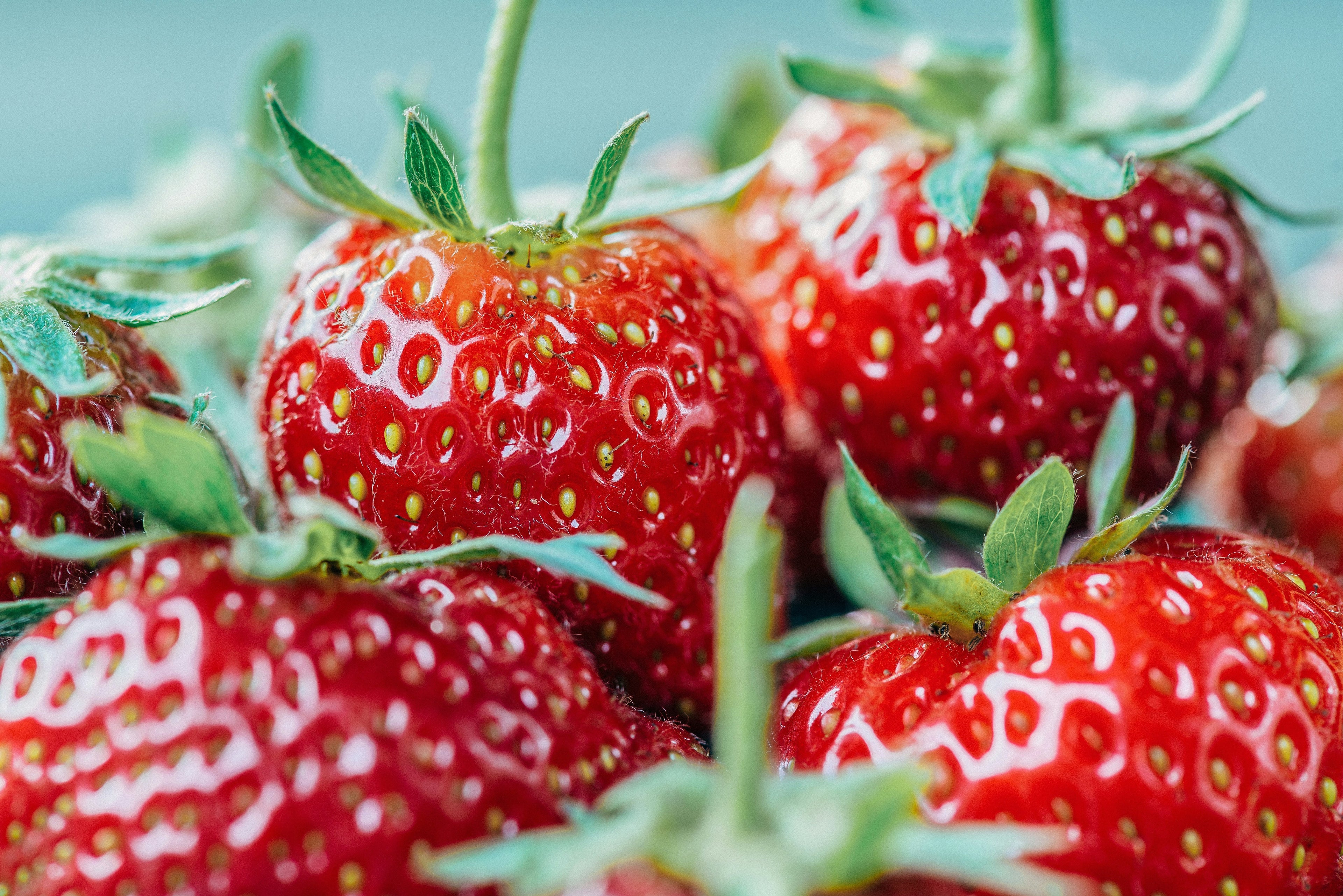 Strawberry & Yoghurt Frozen Bites