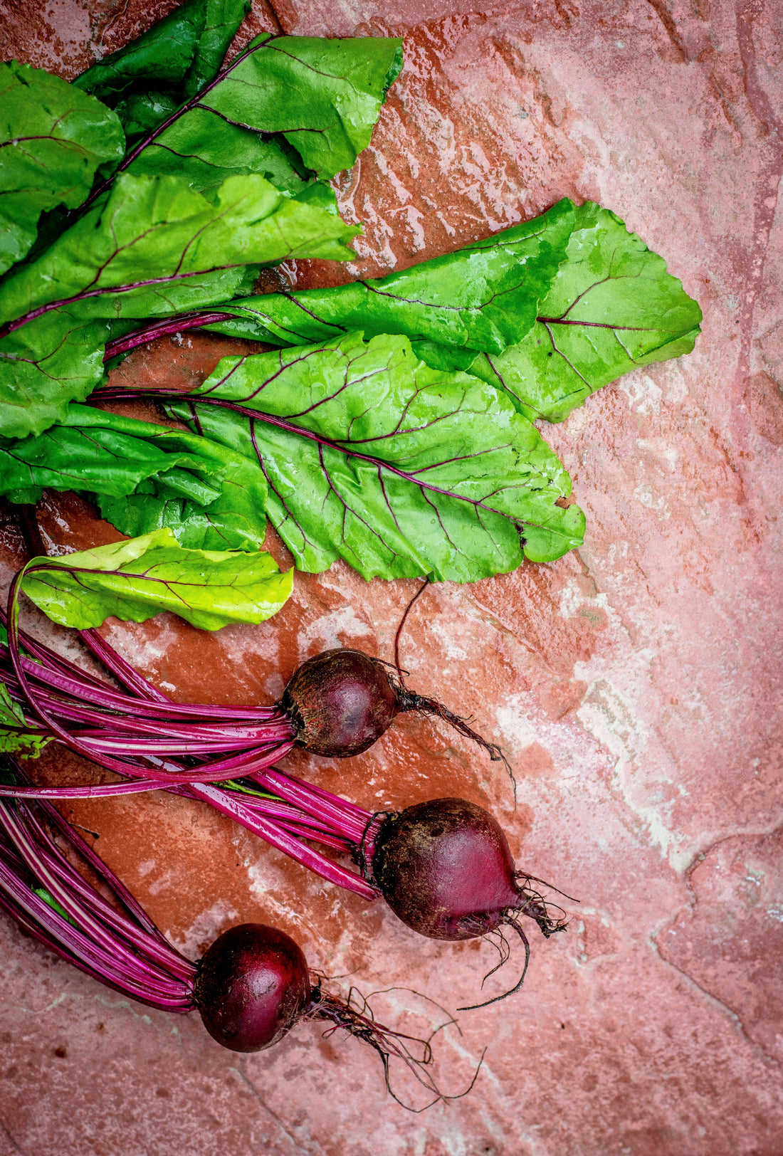 Mackerel & Beetroot Blood Pressure Support Bowl