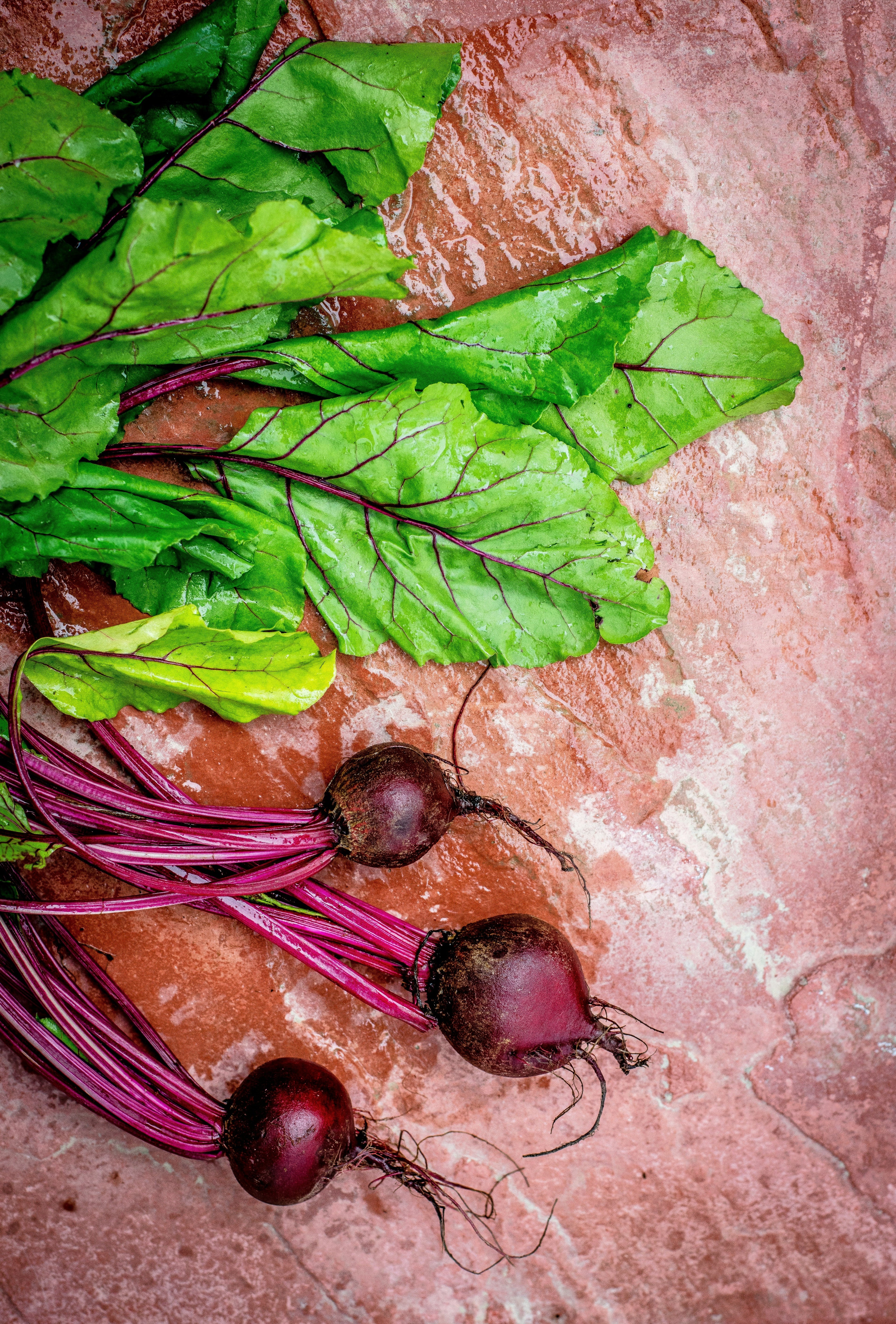 Mackerel & Beetroot Blood Pressure Support Bowl