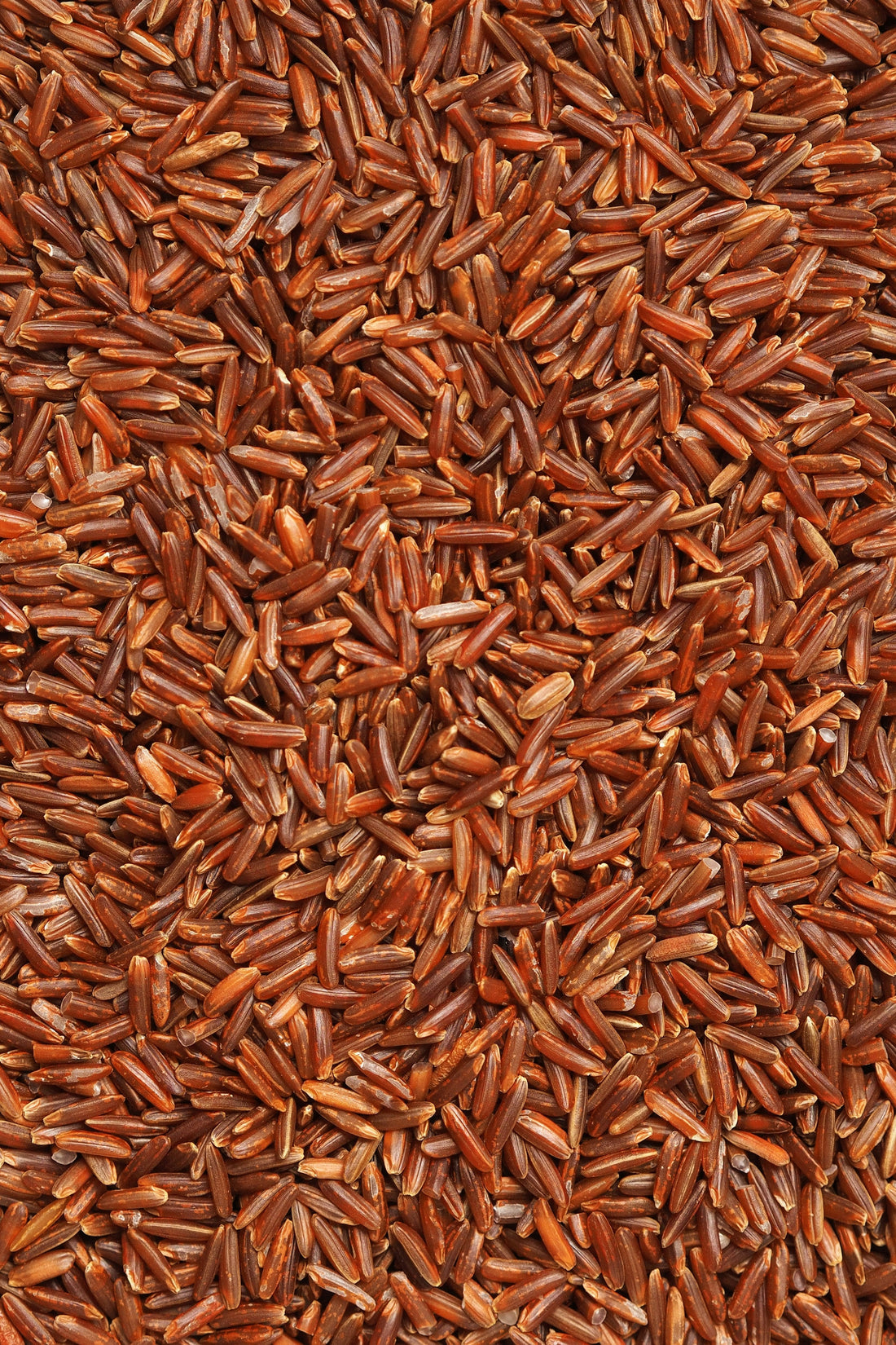 Sardine & Brown Rice Omega Heart Protector