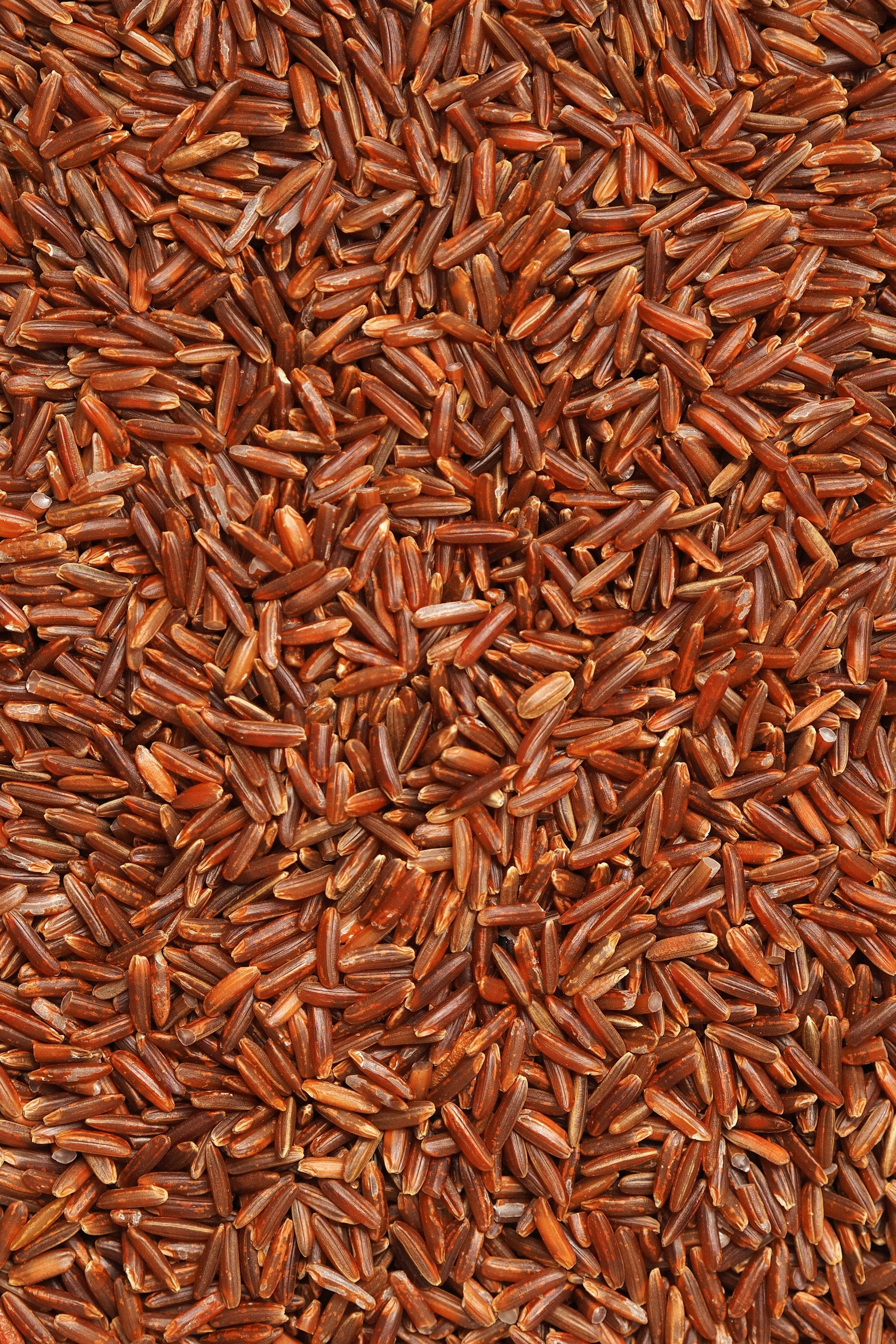 Sardine & Brown Rice Omega Heart Protector