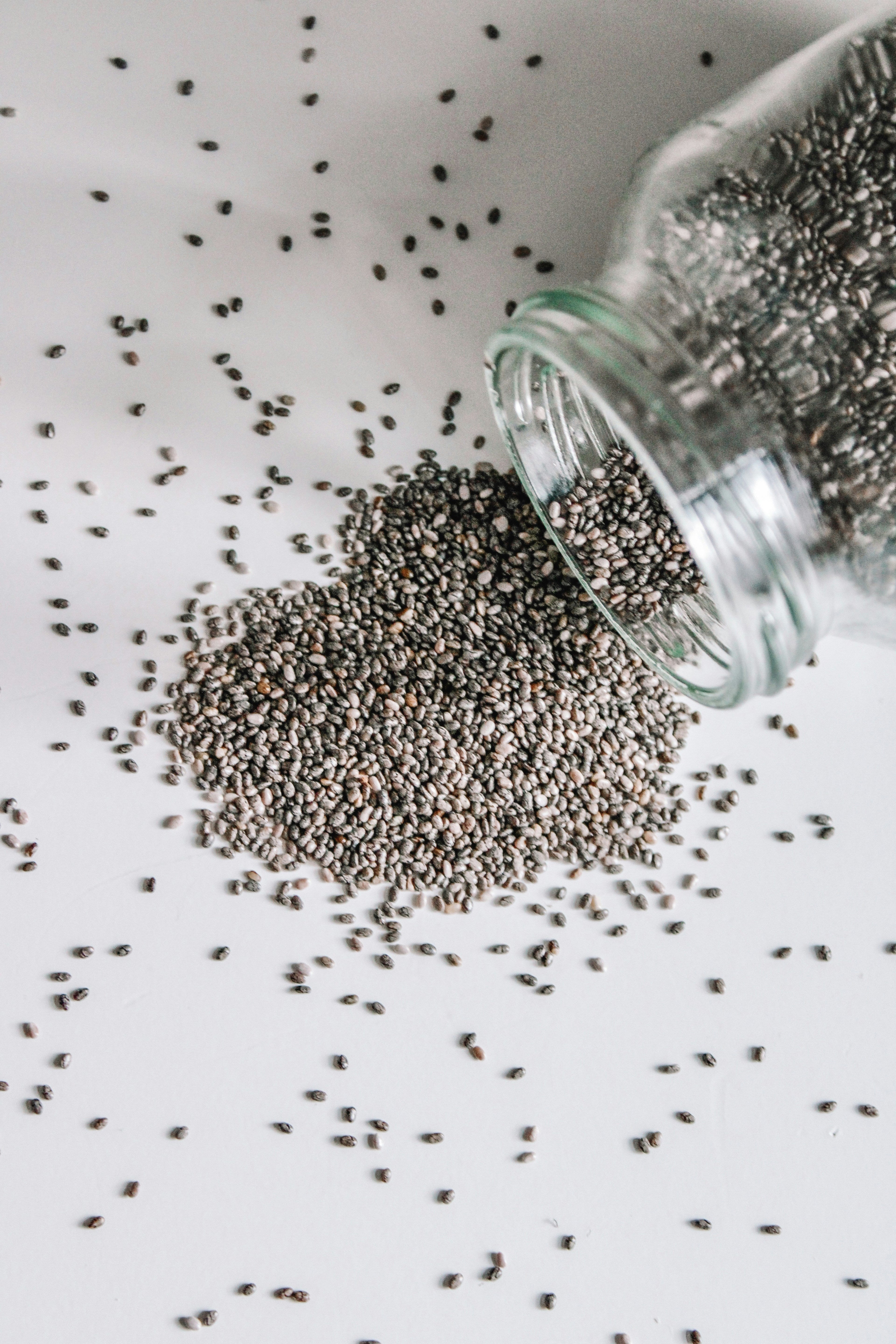 Sardine & Chia Seed Omega Bombs