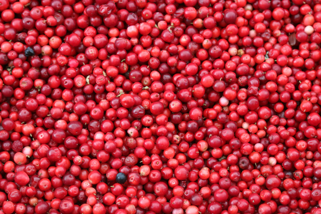 Cranberry & Mint Breath Freshening Cookies
