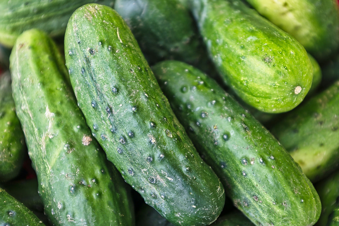 Cucumber & Mint Fresh Breath Snacks