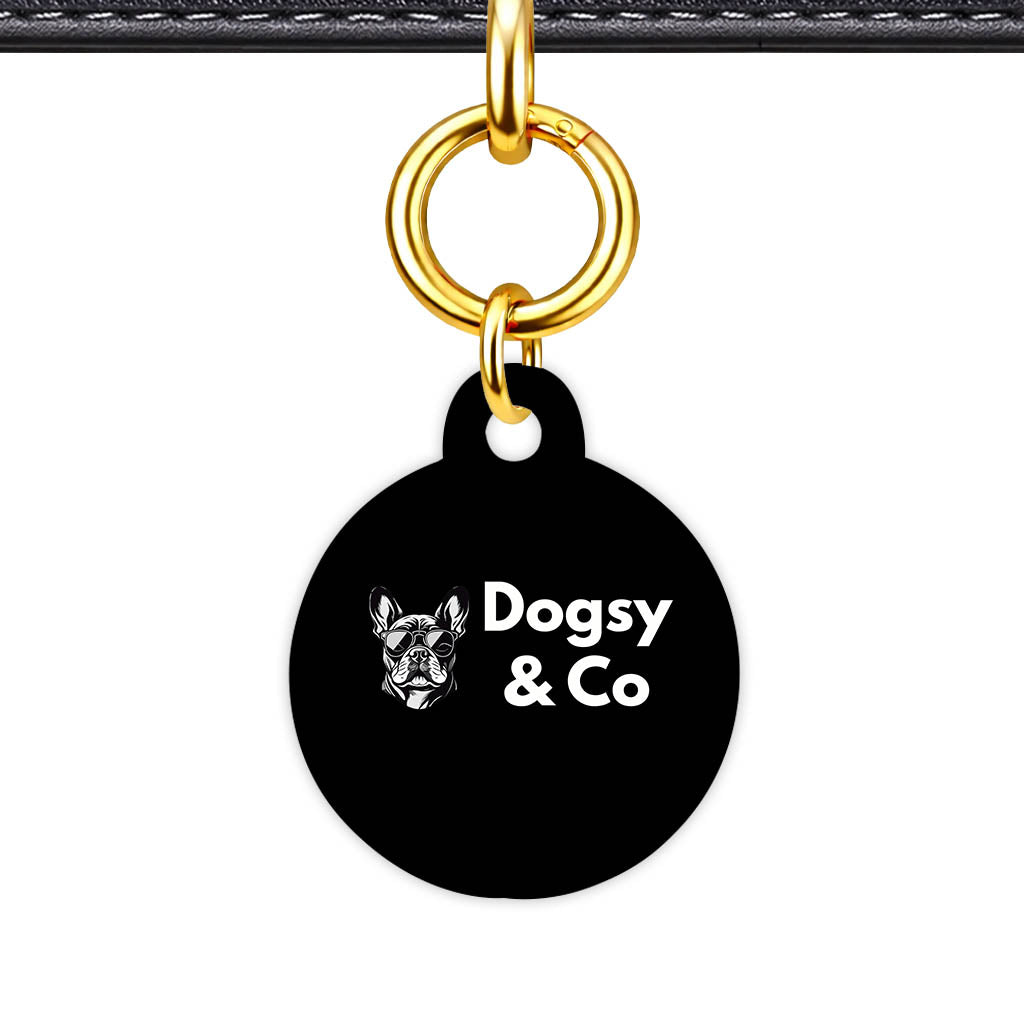 Why Microchipping Alone Isn't Enough — You Need a Visible Tag Too