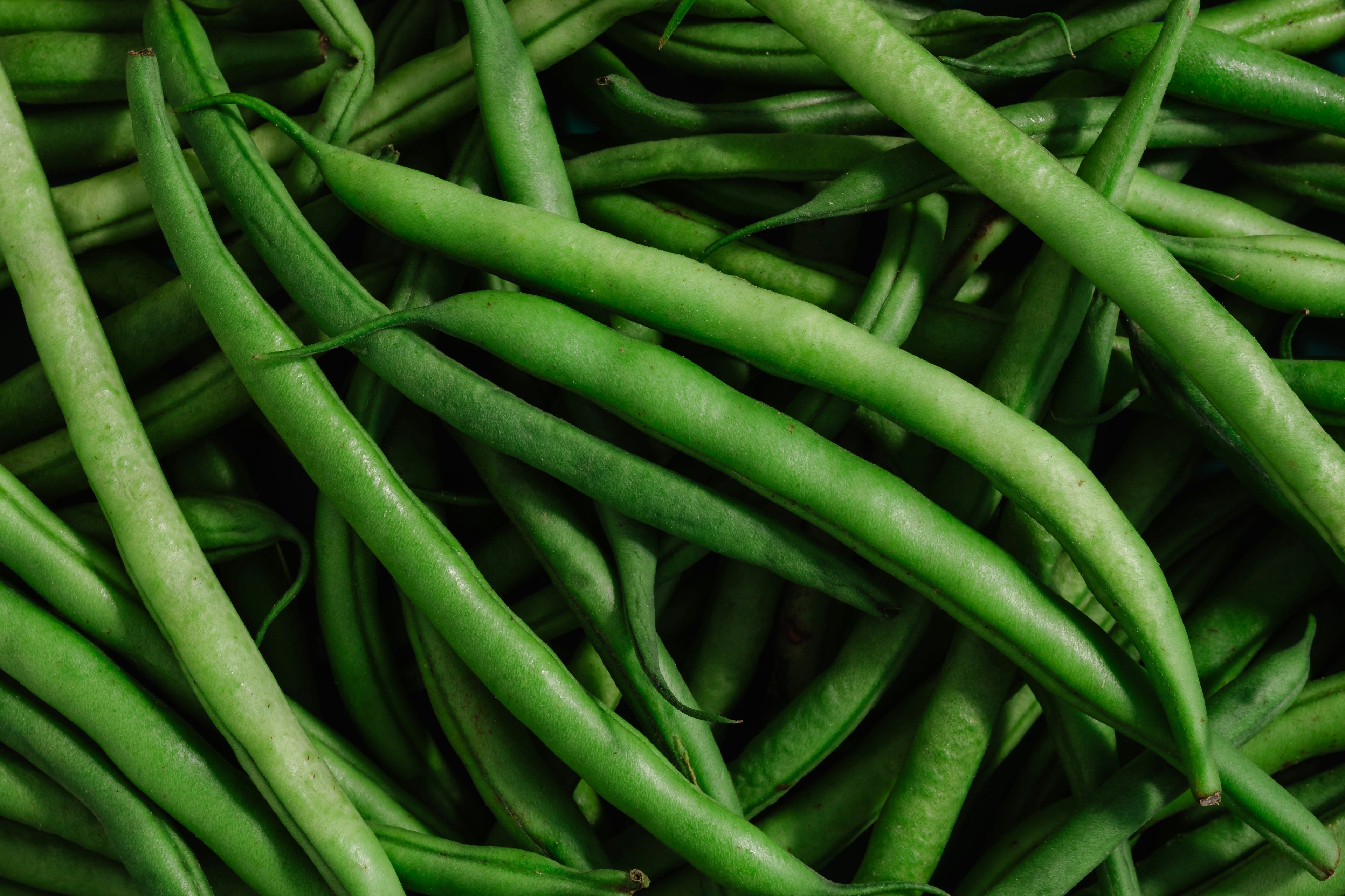 Lean Turkey & Green Bean Slim Down Bowl