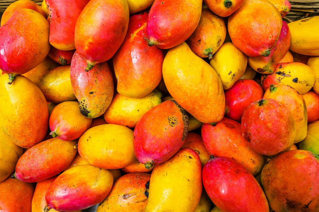 Coconut & Mango Tropical Lick Spread