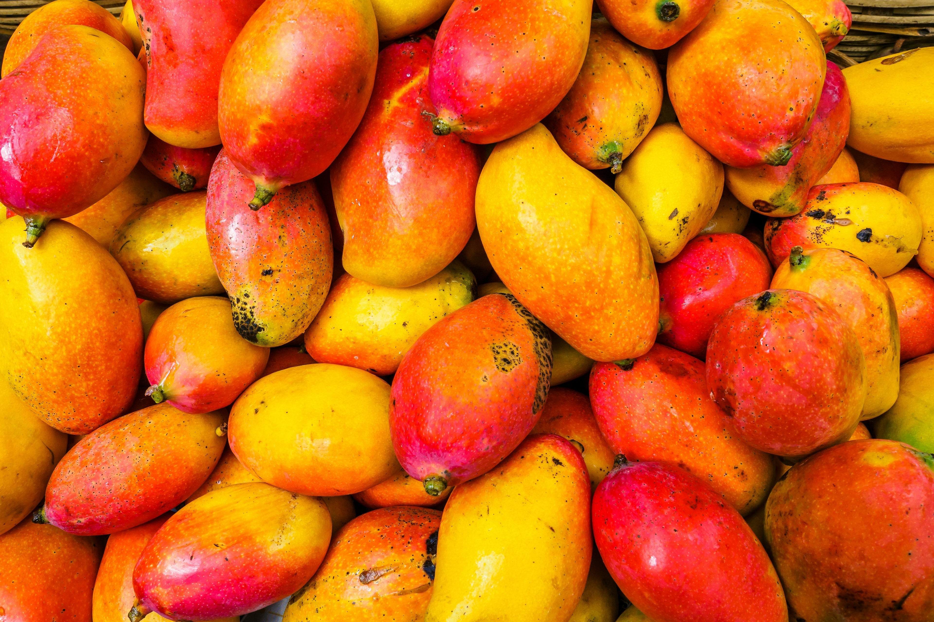 Coconut & Mango Tropical Lick Spread