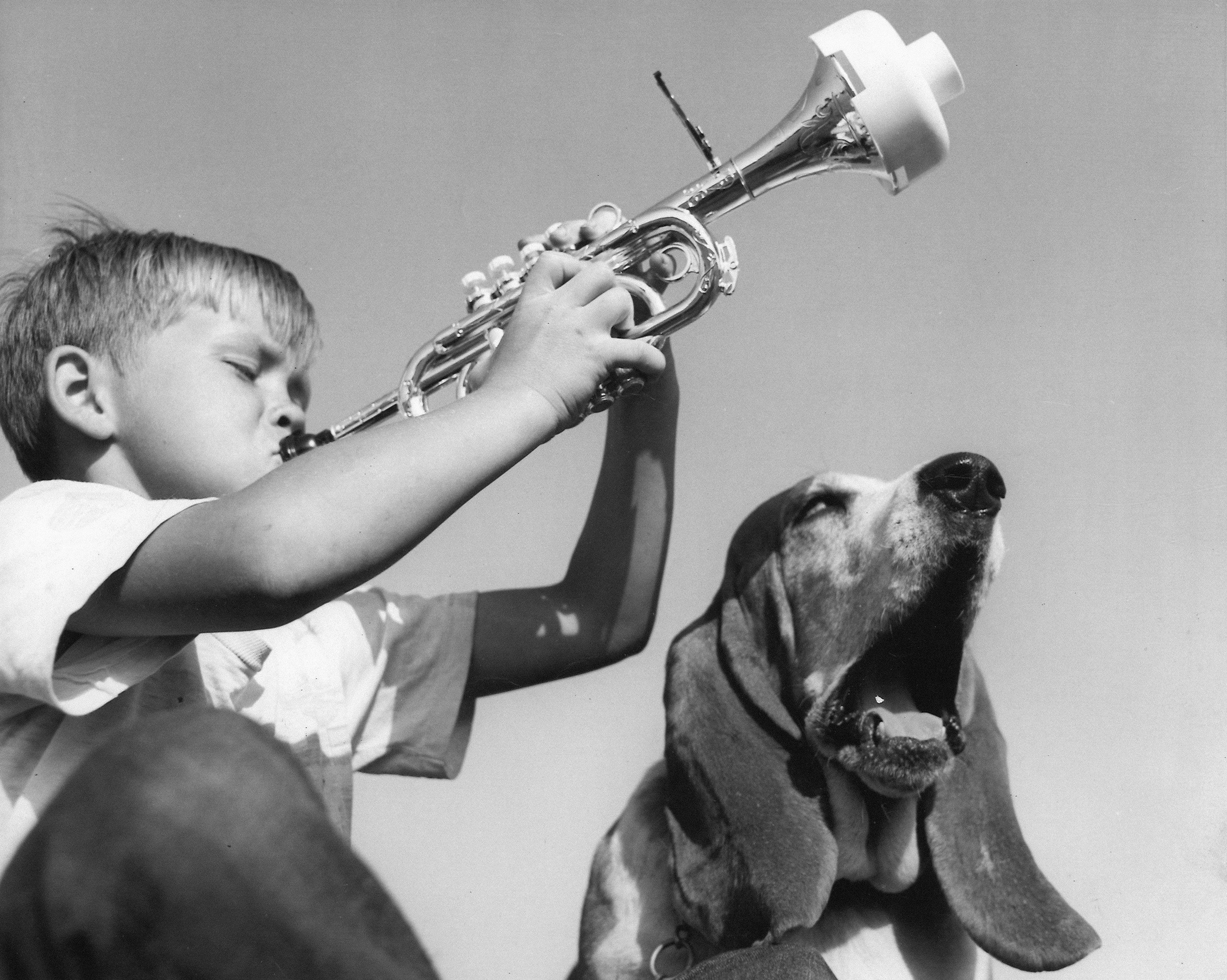 Back to School? Keep Your Dog Busy While You're Away