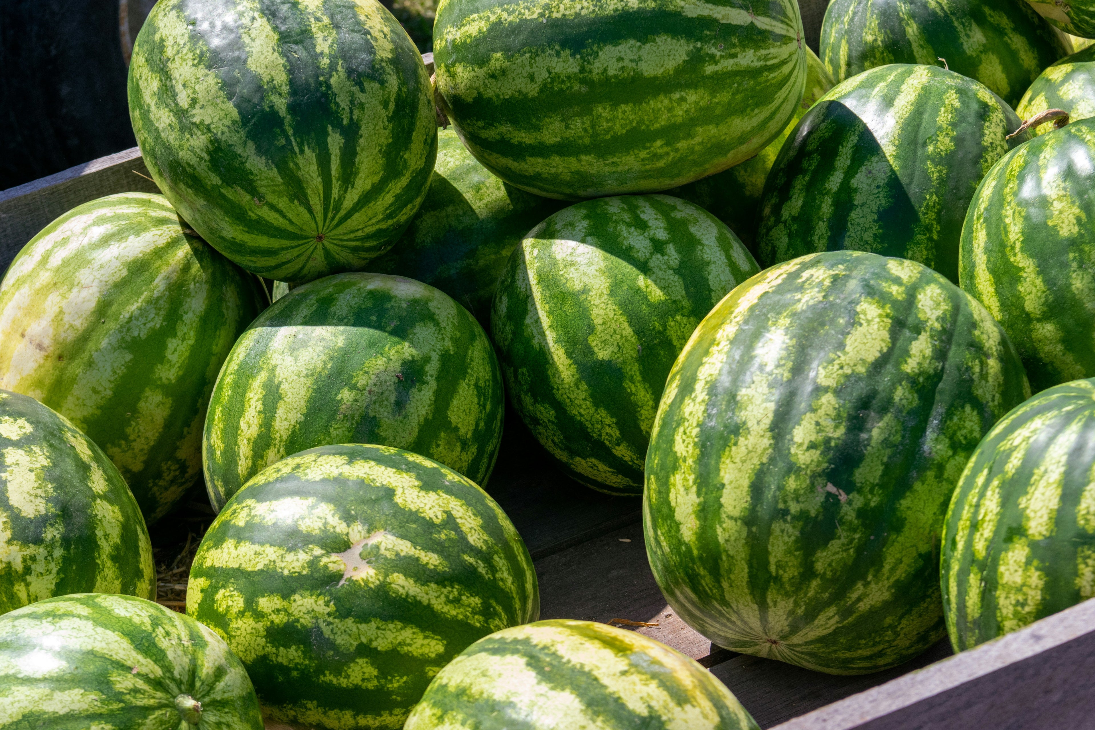 Watermelon Ice Cubes