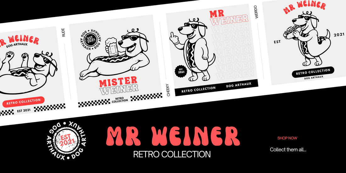 FUNNY DOG T-SHIRTS VS COOL DOG T-SHIRTS: WHICH ONE ARE YOU?