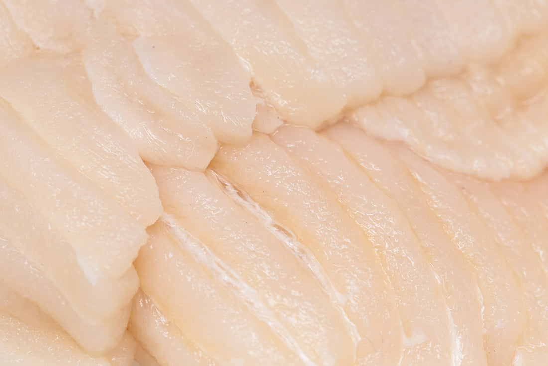Egg & Fish Oil Golden Biscuits