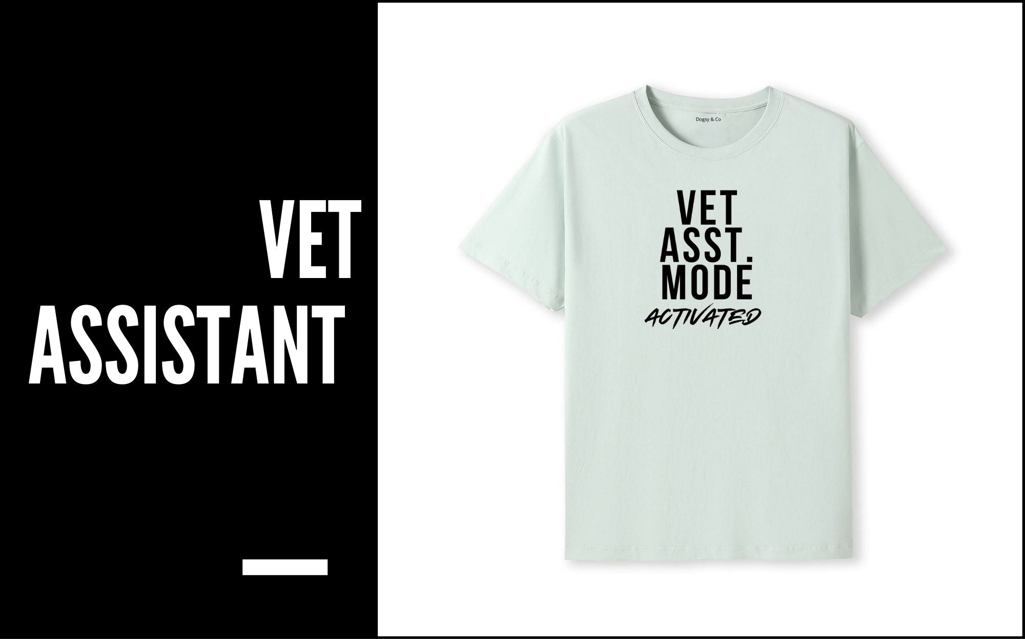 VET ASSISTANT