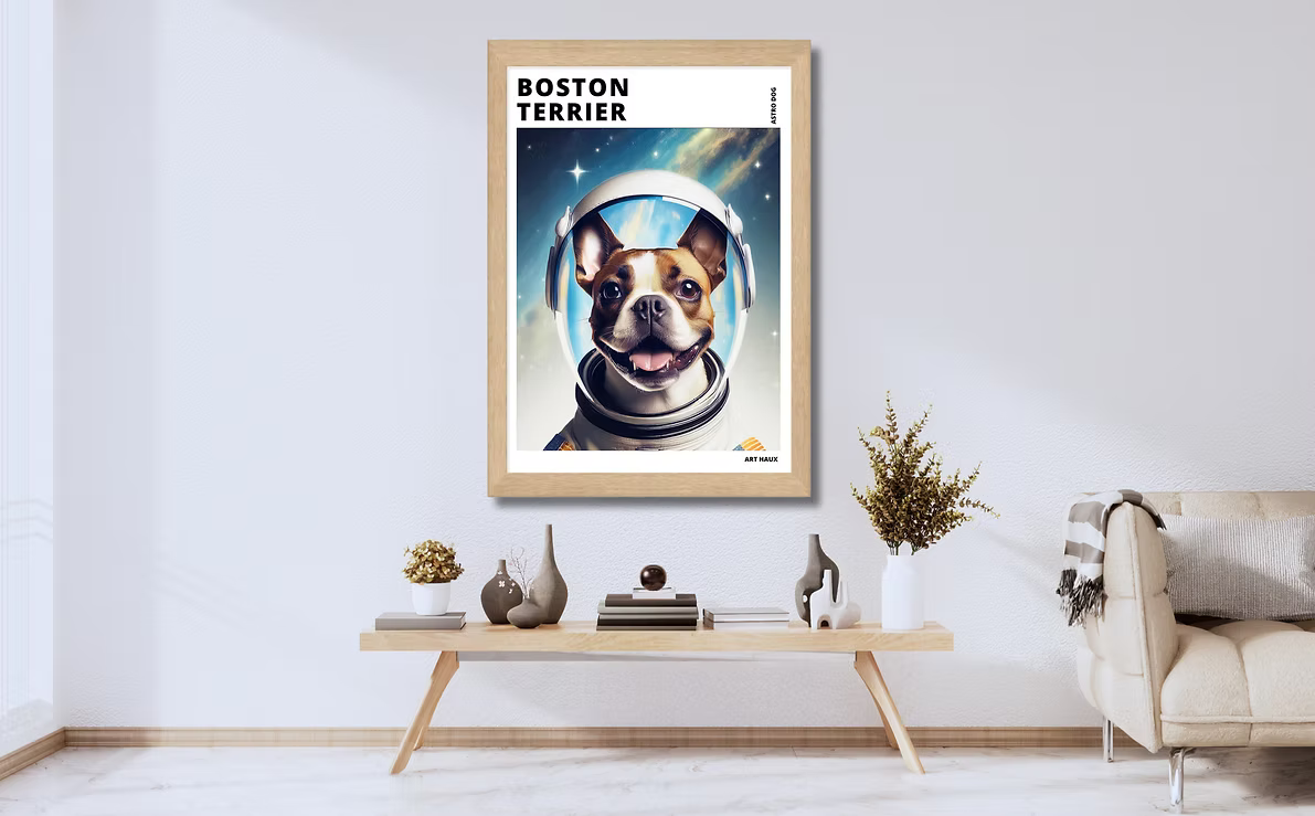 Boston Terrier