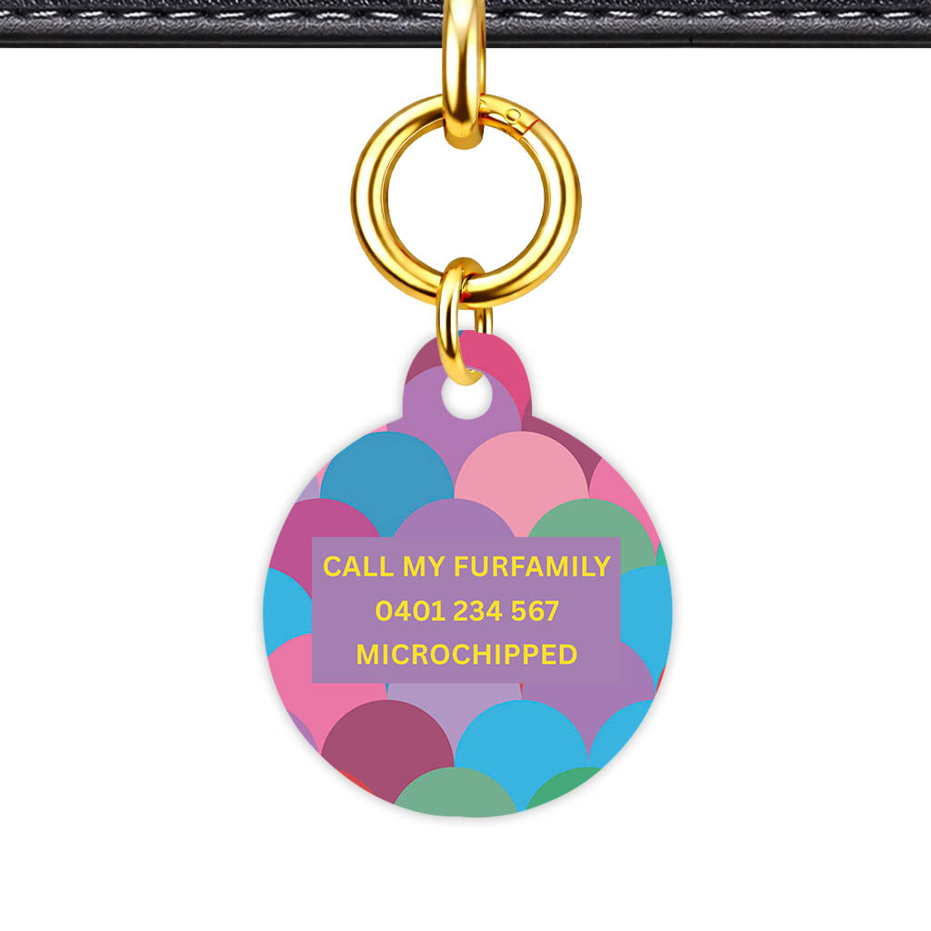 Rainbow Scallop Pop Classic Pet ID Tag - image 22