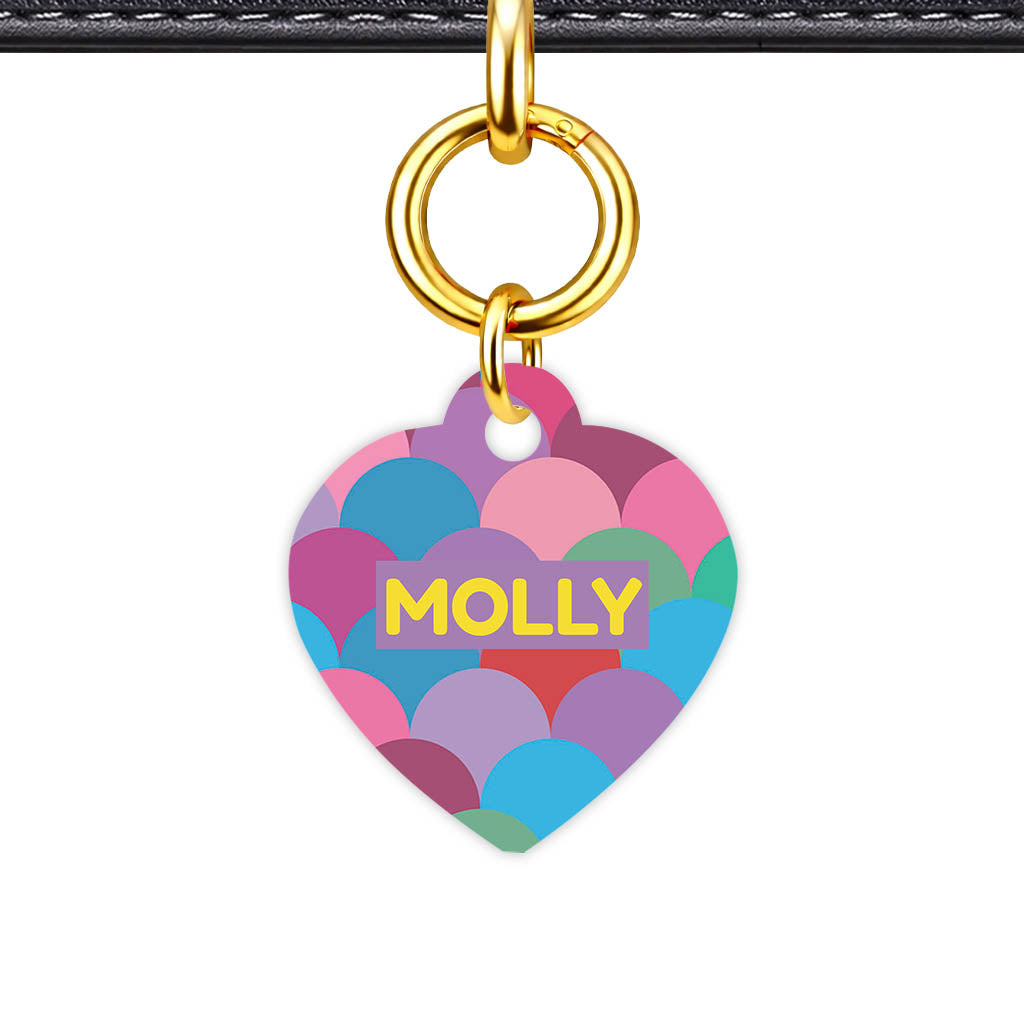Rainbow Scallop Pop Classic Pet ID Tag | Dogsy & Co