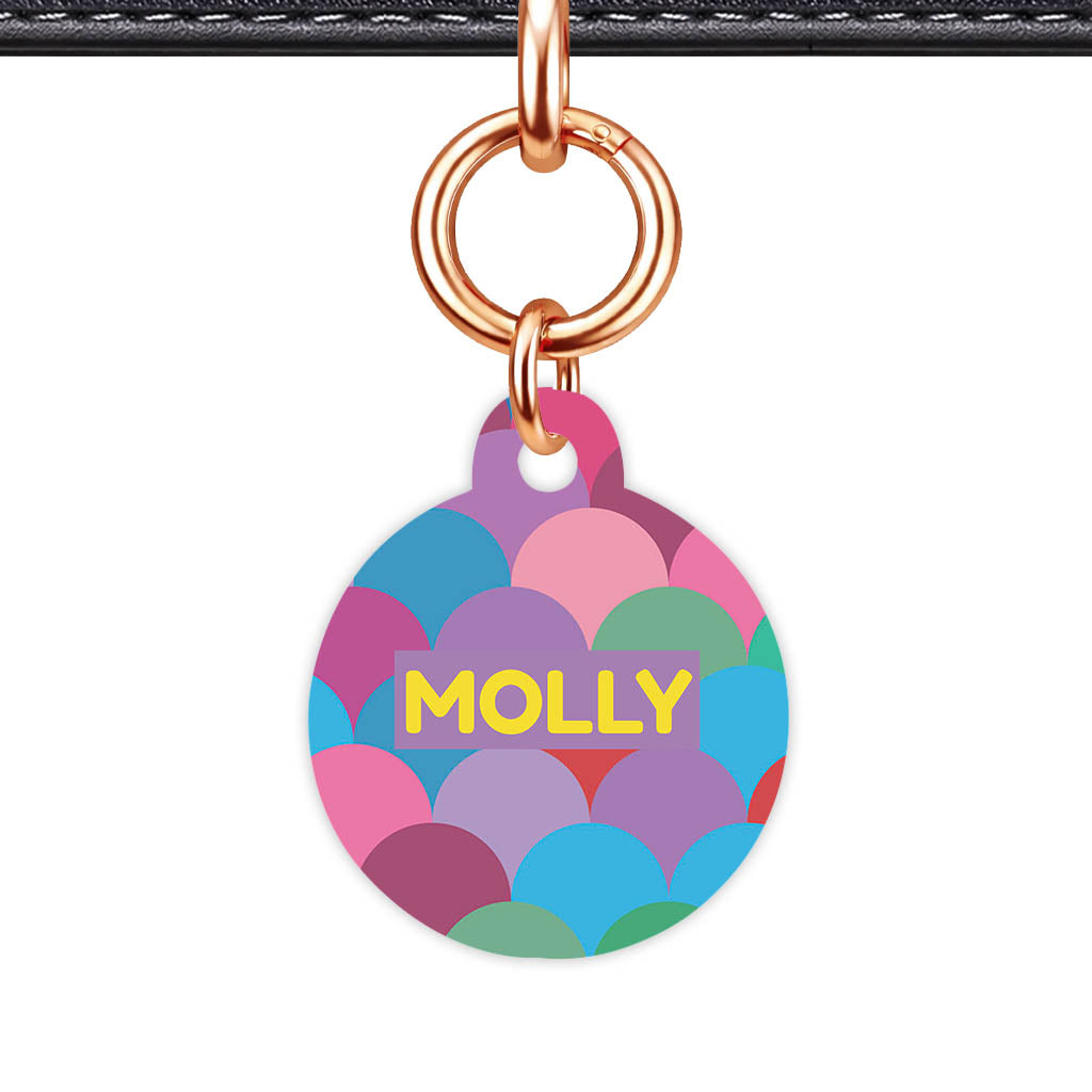 Rainbow Scallop Pop Classic Pet ID Tag - image 24