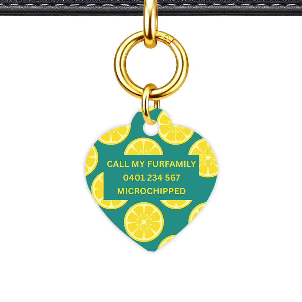 Citrus Pop Classic Pet ID Tag (Dog Tag & Cat Tag)