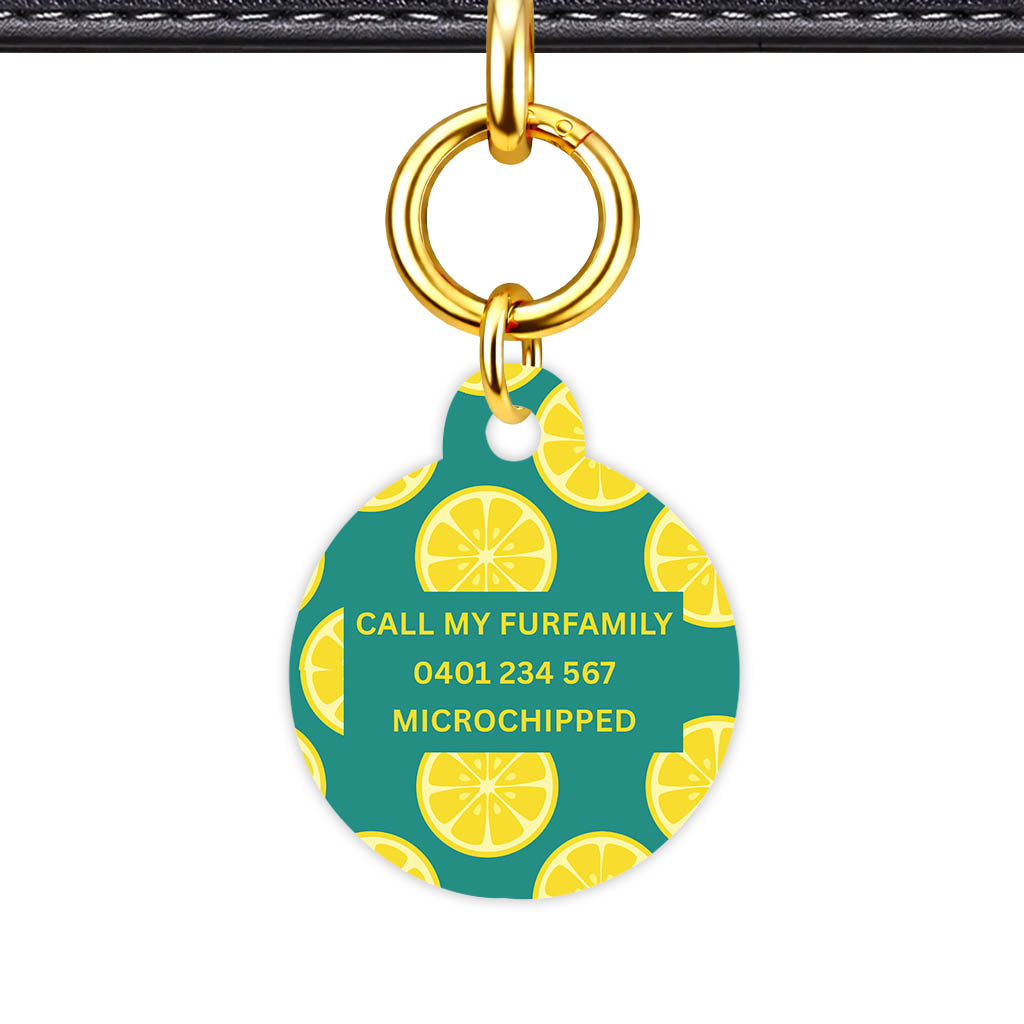 Citrus Pop Classic Pet ID Tag (Dog Tag & Cat Tag)