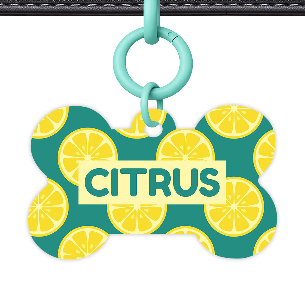 Citrus Pop QR Smart Pet Id Tag Tag (Dog Tag & Cat Tag)