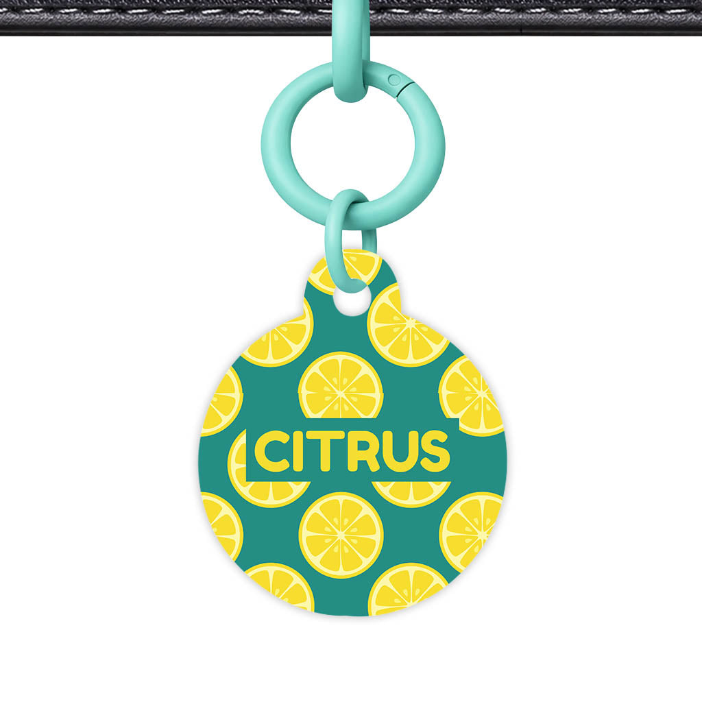 Citrus Pop QR Smart Pet Id Tag Tag (Dog Tag & Cat Tag)