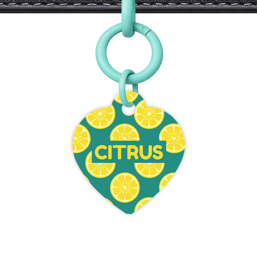 Citrus Pop Classic Pet ID Tag (Dog Tag & Cat Tag)