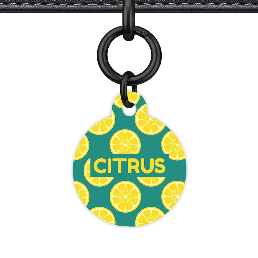 Citrus Pop QR Smart Pet Id Tag Tag (Dog Tag & Cat Tag)