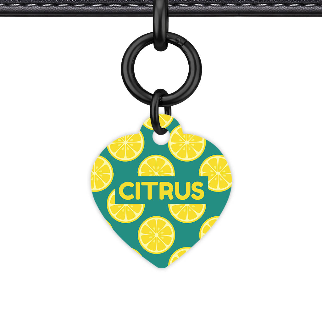 Citrus Pop QR Smart Pet Id Tag Tag (Dog Tag & Cat Tag)