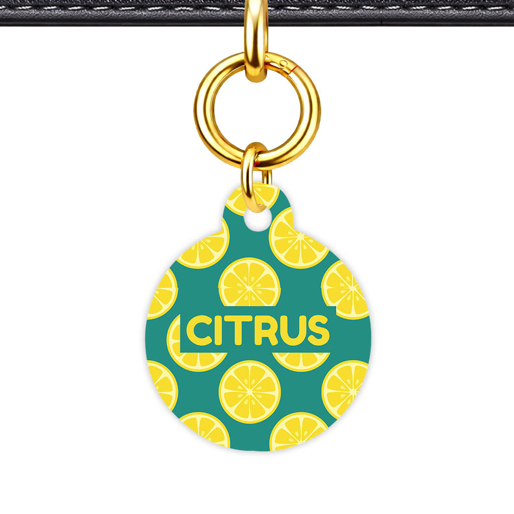 Citrus Pop Classic Pet ID Tag (Dog Tag & Cat Tag)