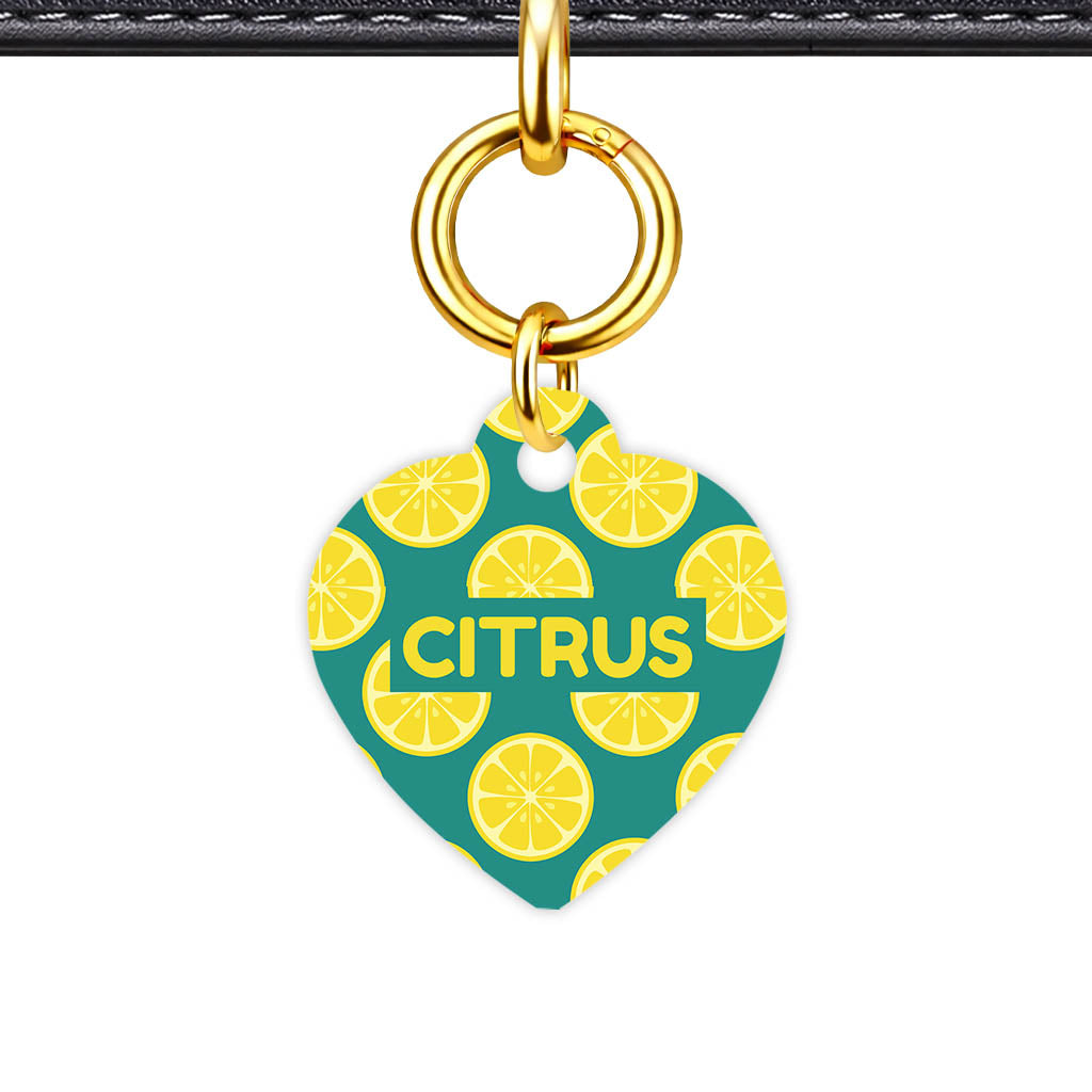 Citrus Pop QR Smart Pet Id Tag Tag (Dog Tag & Cat Tag)