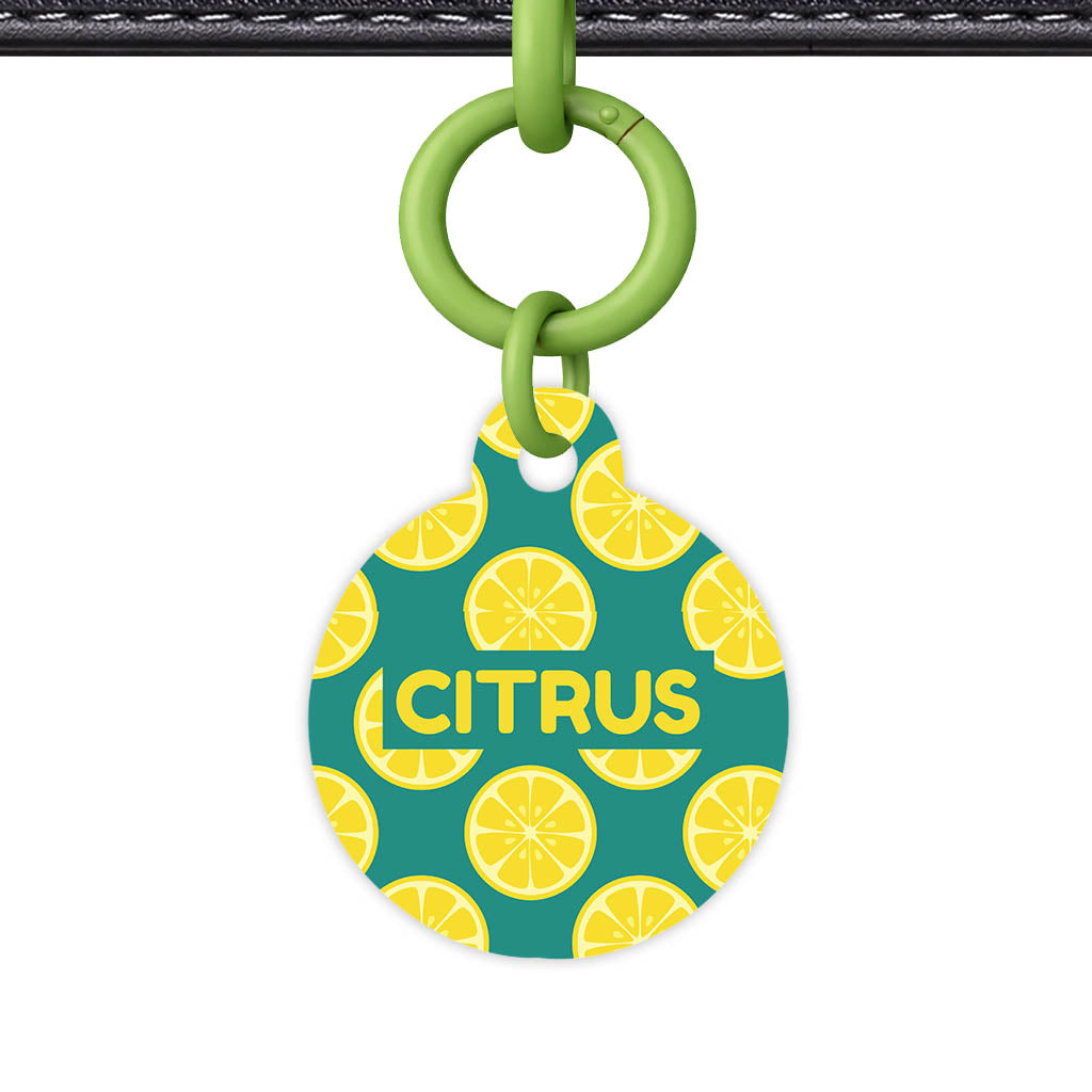 Citrus Pop QR Smart Pet Id Tag Tag (Dog Tag & Cat Tag)