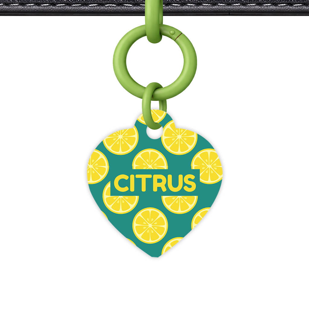 Citrus Pop Classic Pet ID Tag (Dog Tag & Cat Tag)