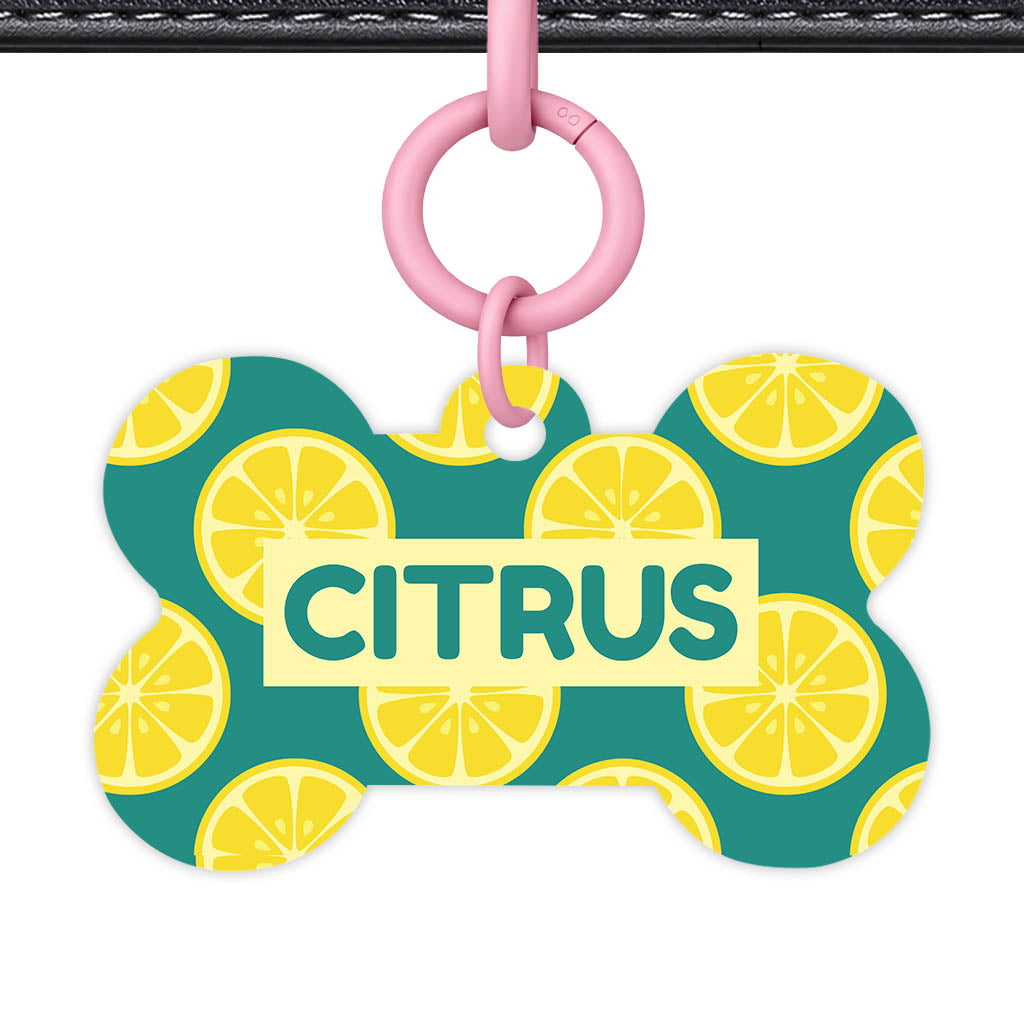 Citrus Pop QR Smart Pet Id Tag Tag (Dog Tag & Cat Tag)