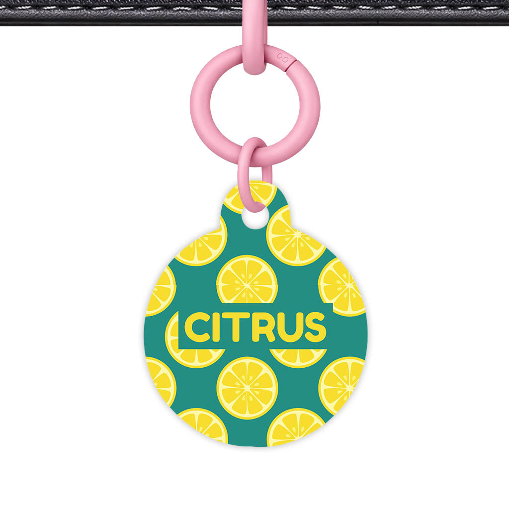 Citrus Pop QR Smart Pet Id Tag Tag (Dog Tag & Cat Tag)