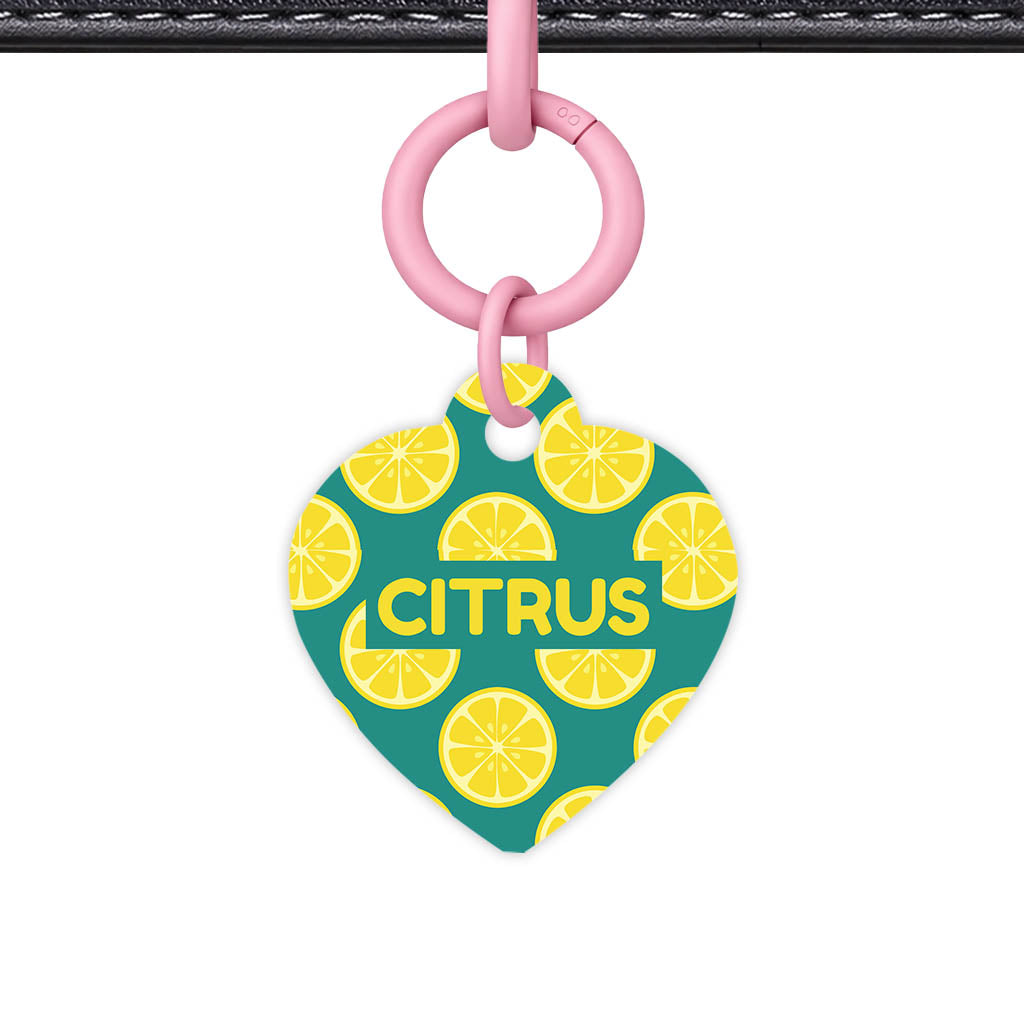 Citrus Pop QR Smart Pet Id Tag Tag (Dog Tag & Cat Tag)