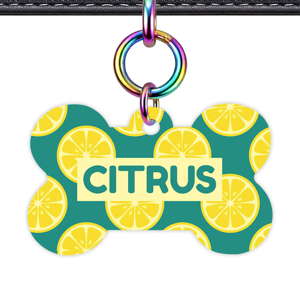 Citrus Pop QR Smart Pet Id Tag Tag (Dog Tag & Cat Tag)