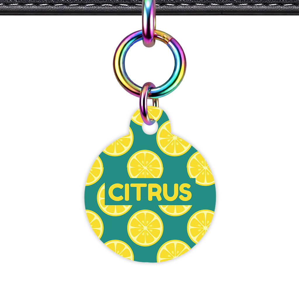 Citrus Pop Classic Pet ID Tag (Dog Tag & Cat Tag)