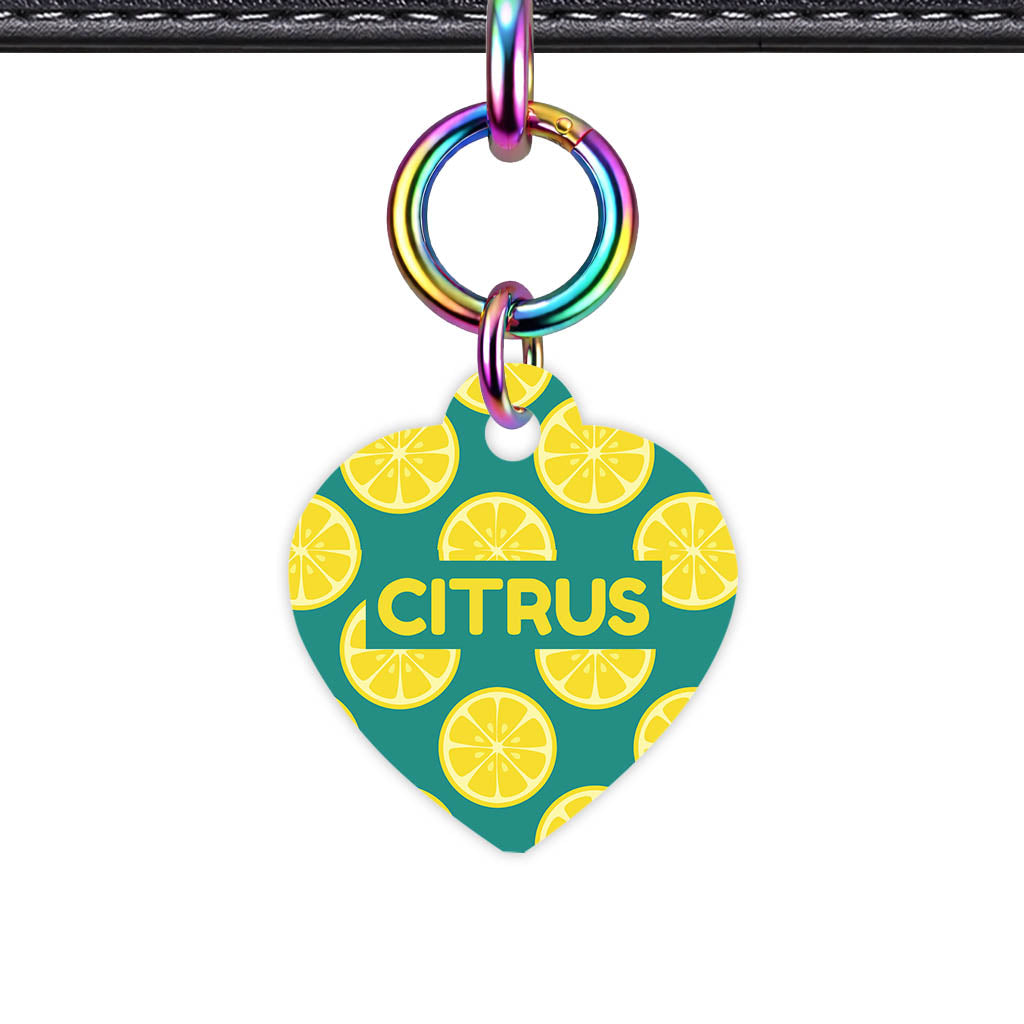 Citrus Pop QR Smart Pet Id Tag Tag (Dog Tag & Cat Tag)