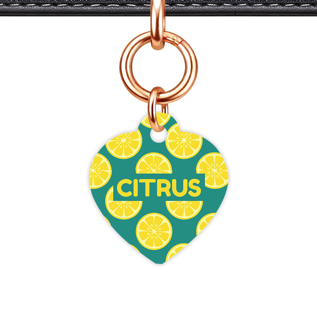 Citrus Pop QR Smart Pet Id Tag Tag (Dog Tag & Cat Tag)