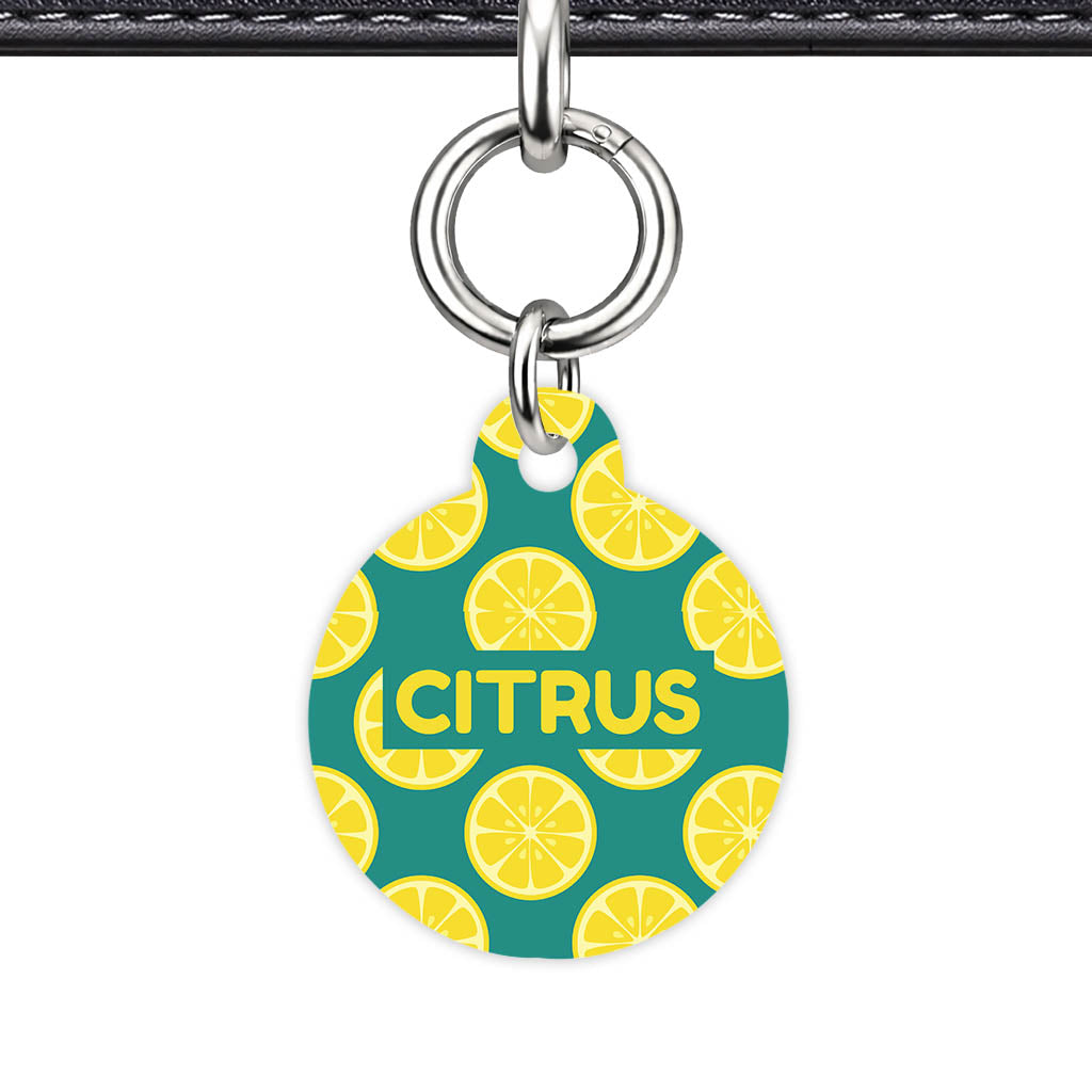 Citrus Pop QR Smart Pet Id Tag Tag (Dog Tag & Cat Tag)