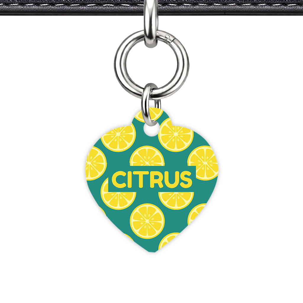 Citrus Pop Classic Pet ID Tag (Dog Tag & Cat Tag)