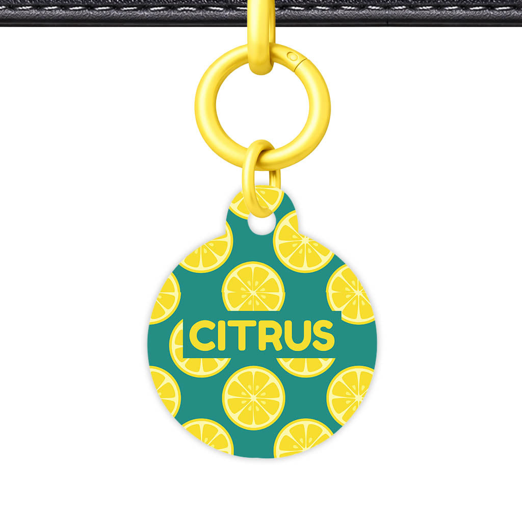 Citrus Pop QR Smart Pet Id Tag Tag (Dog Tag & Cat Tag)