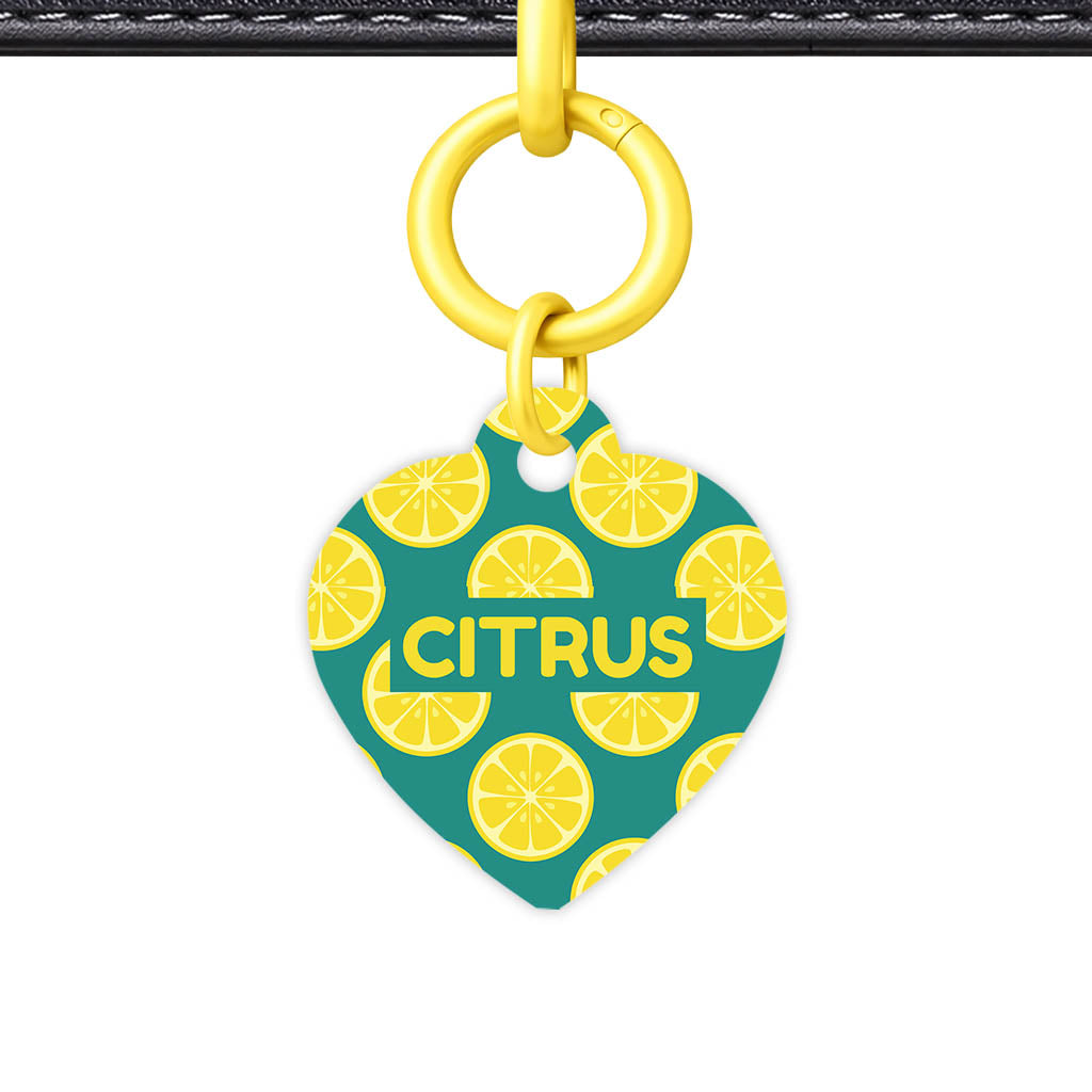 Citrus Pop Classic Pet ID Tag (Dog Tag & Cat Tag)