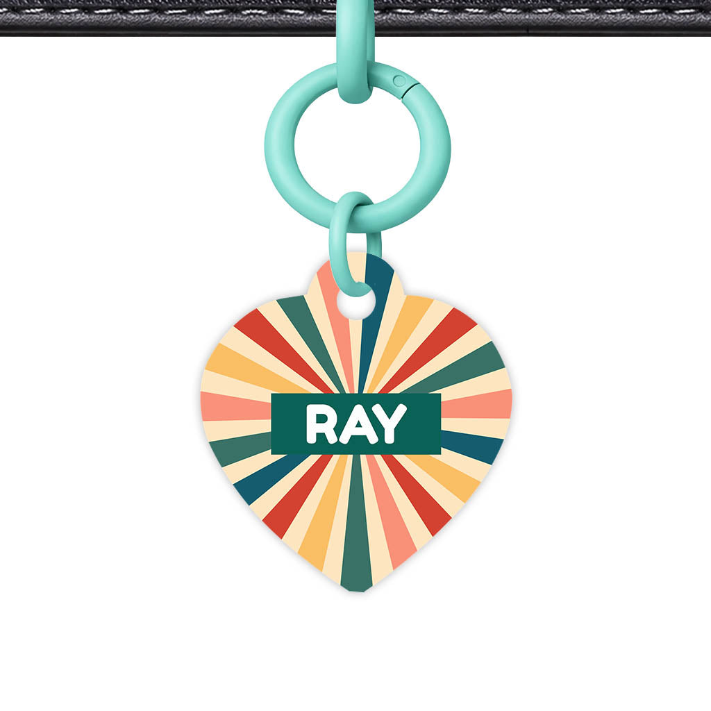 Retro Sunburst QR Smart Pet Id Tag Tag (Dog Tag & Cat Tag)