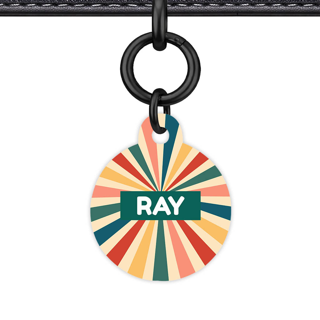 Retro Sunburst QR Smart Pet Id Tag Tag (Dog Tag & Cat Tag)